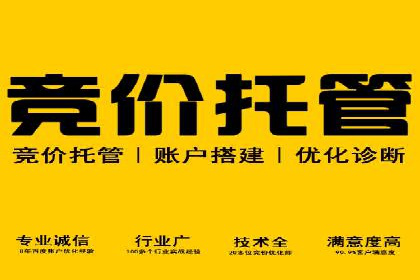 百度竞价广告的创意与执行：成功案例剖析